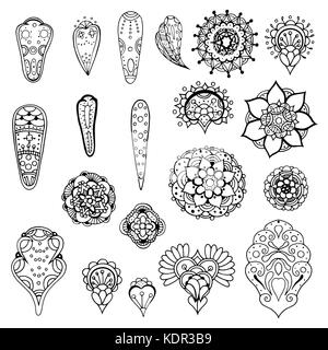 Satz von sketchy monochrome doodle Blumen und Blätter. Vector Illustration Stock Vektor