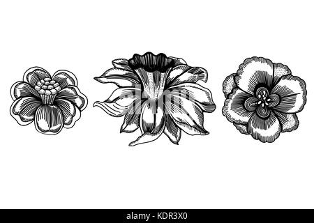 Satz von sketchy monochrome abstrakte doodle Blumen. Vector Illustration. Hand gezeichnete Skizze. isoliert auf Weiss. Stock Vektor