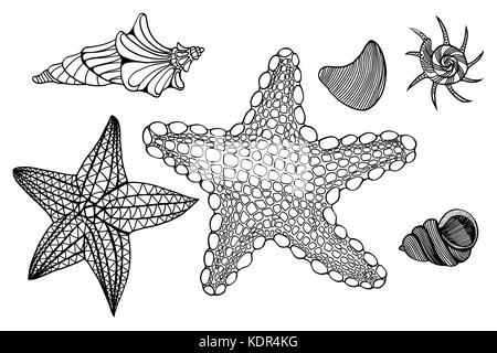 Satz von monochromen Schalen und Stern. Hand gezeichnet Vector Illustration Stock Vektor