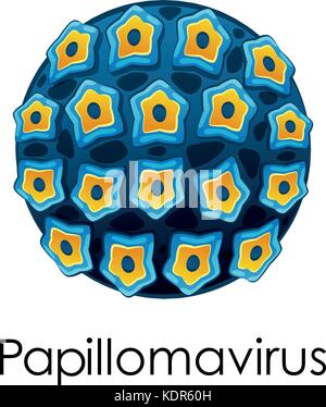 Diagramm mit papilomavirus auf weißem Hintergrund Abbildung Stock Vektor