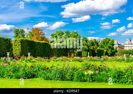 Tuileries Garden an einem schönen sonnigen Sommertag Stockfoto