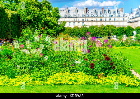 Tuileries Garden an einem schönen sonnigen Sommertag Stockfoto