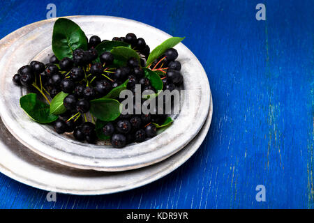 Aronia in silber Metall Schüssel auf Blau Holz- Hintergrund. aroniabeere mit Blatt. top anzeigen. Kopieren Sie Platz Stockfoto