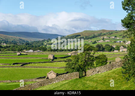 Gunnerside wiesen in swaledale, Yorkshire Dales, England. Stockfoto