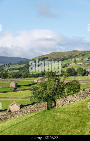 Traditionelle Steinmauern und Scheunen in Gunnerside in den Yorkshire Dales, England. Stockfoto