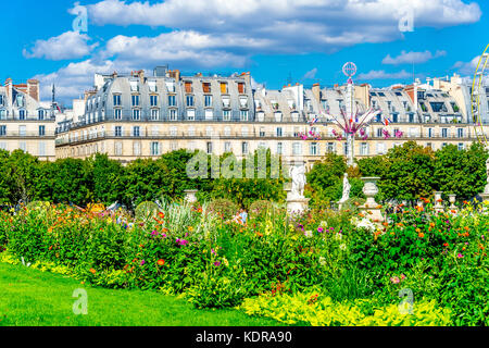 Tuileries Garden an einem schönen sonnigen Sommertag mit den typischen Pariser Apartments im Haussmann-Stil im Hintergrund. Stockfoto