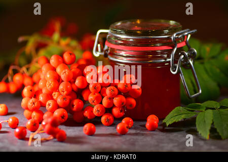 Rowan Berry Jelly gemacht im Herbst Stockfoto