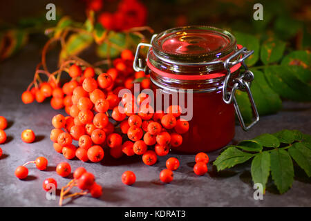 Rowan Berry Jelly gemacht im Herbst Stockfoto