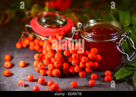 Rowan Berry Jelly gemacht im Herbst Stockfoto