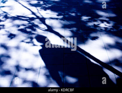 Verschwommene Schatten eines Menschen und ein Baum auf der Straße in der Nacht Stockfoto
