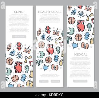 Satz von drei Organen und Anatomie vertikale Banner mit Symbol Muster. Vector Illustration Stock Vektor