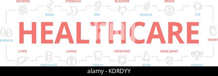 Vektor Organe und Anatomie dünne Linie Banner für Design Konzept. Illustration für Präsentationen auf weißem Hintergrund Stock Vektor