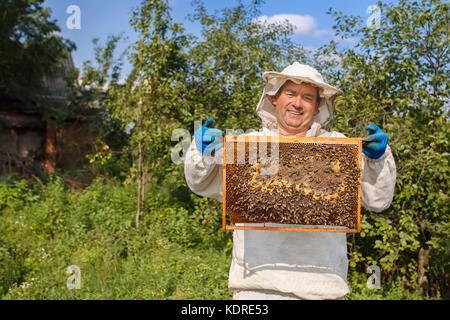 Imker mit Waben Stockfoto