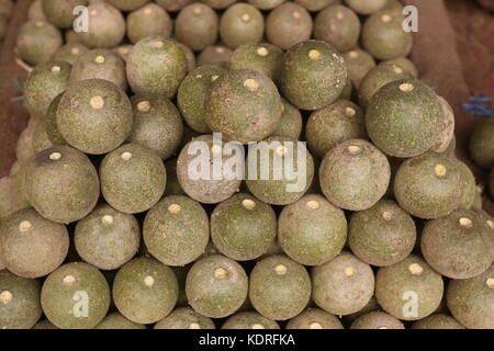 Holz - apple, Limonia acidissima, Pune, Maharashtra, Stockfoto