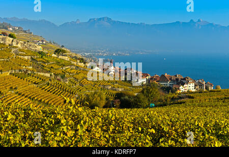 Weinbau Dorf Puidoux in Weinberge des Lavaux, Waadt, Schweiz Stockfoto