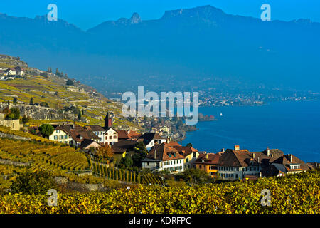 Weinbau Dorf Puidoux in Weinberge des Lavaux, Waadt, Schweiz Stockfoto