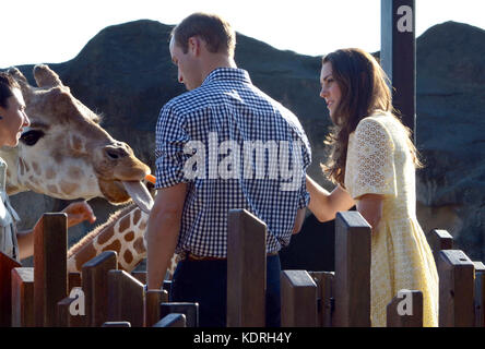 Sydney, AUSTRALIEN - 20. APRIL: Prinz William, Herzog von Cambridge und Catherine, Herzogin von Cambridge im Taronga Zoo am 20. April 2014 in Sydney, Australien. Personen: Prinz William, Herzog von Cambridge und Catherine, Duchess of Cambridge Transmission Ref: MNCUK1 Credit: Hoo-Me.com/MediaPunch ***NO UK*** Stockfoto