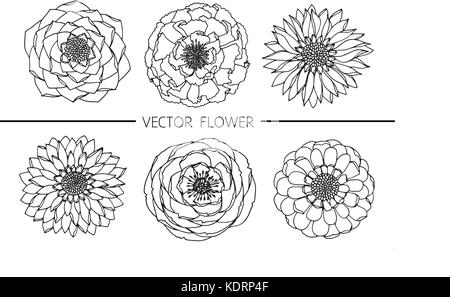 Blumen Zeichnung Abbildung. Schwarz und Weiß mit Line Art. Stock Vektor