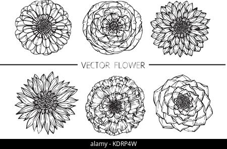 Blumen Zeichnung Abbildung. Schwarz und Weiß mit Line Art. Stock Vektor