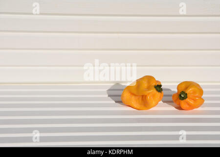 Essen Fotografie Bild von gelb orange scotch bonnet Chilis in der Sonne mit weißem Holz natürliche Hintergrund und an der Südküste genommen England Großbritannien Stockfoto