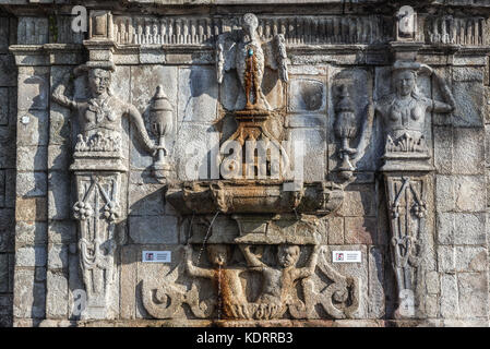 Pelikan Brunnen (Chafariz Do Pelicano) vor Se Kathedrale in Porto Stadt auf der iberischen Halbinsel, zweite größte Stadt in Portugal Stockfoto