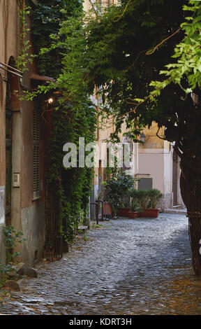 Eine der Straßen im Viertel Trastevere in Rom, Italien ohne Menschen Stockfoto