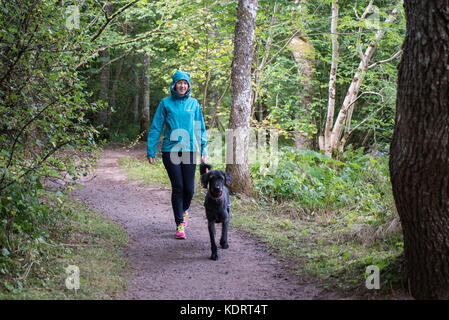 Eine Frau geht mit ihrem Hund in Urquhart Bay Wald in der Nähe von Drumnadrochit, Schottland. Sommer. L Stockfoto