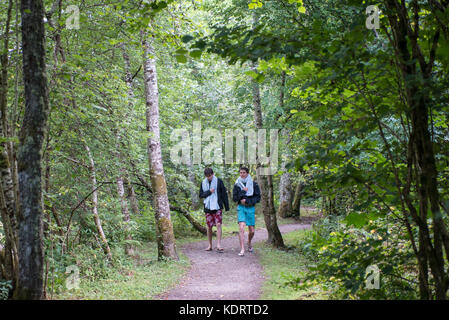 Zu Fuß zurück nach einem frühen Morgen schwimmen in Lock ness durch Urquhart Bay Wald in der Nähe von Drumnadrochit, Schottland. Sommer. Stockfoto