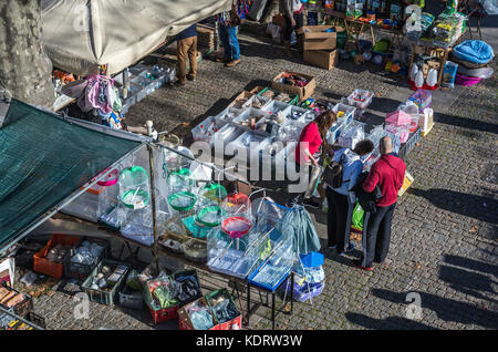 Alameda das Fontainhat Heimtierzubehörmarkt in Porto Stadt auf der Iberischen Halbinsel, zweitgrößte Stadt in Portugal Stockfoto