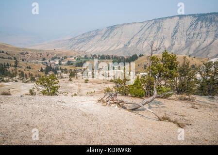 Mammoth Hot Springs geo-thermischen Bereich des Yellowstone National Park, Wyoming Stockfoto