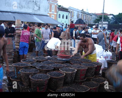 Acai Markt in Belem, Brasilien, mehrere Körbe gefüllt mit Acai Berry Stockfoto