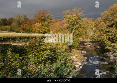 Teesdale Landschaft, die Sitzung der Gewässer - Die confuence der Flüsse Greta und T-Stücken an Rokeby, in der Nähe von Barnard Castle, Großbritannien im Herbst Oktober 2017 Stockfoto