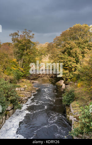 Teesdale Landschaft, die Sitzung der Gewässer - Die confuence der Flüsse Greta und T-Stücken an Rokeby, Barnard Castle, Großbritannien im Herbst Sonne mit Kopie Raum Stockfoto