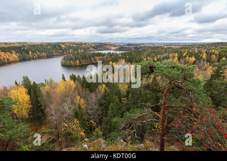 Blick auf einen See und Wald in Herbstfarben von oben im Aulanko Nationalpark in Hämeenlinna, Finnland. Stockfoto