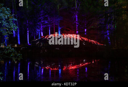 Beleuchtete Installation 'Flow' von Squid-Suppe, die einen "Fluss der Energie" bei Nacht; Enchanted Forest in Faskally Woods in der Nähe von Pitlochry, Schottland. Stockfoto