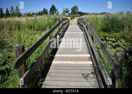 Holz beplankt Brücke bei Tennant See in Ferndale, Washington. Die Brücke hat einige neue Planken. Die Beobachtungsstelle kann im Hintergrund gesehen werden. Stockfoto