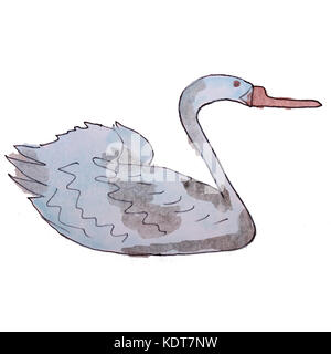 Swan zeichnen Aquarell auf weißem Hintergrund Stockfoto