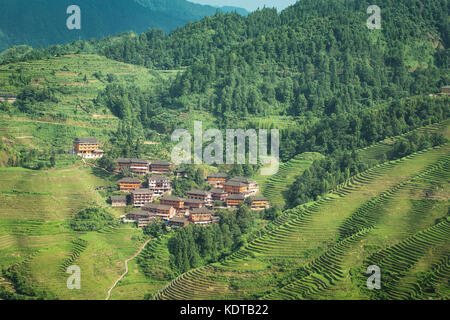 Terrassenfelder Stockfoto