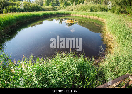 Weitwinkelobjektiv mit Blick auf einen kleinen Teich mit Turtle Island im Biotop Kalterer See in Südtirol/Italien. Stockfoto