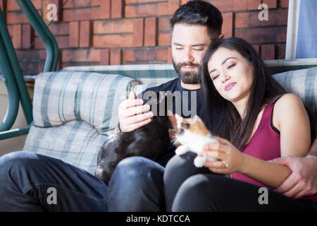 Traumhaft schöne junge Paar hält Katzen in Händen Stockfoto