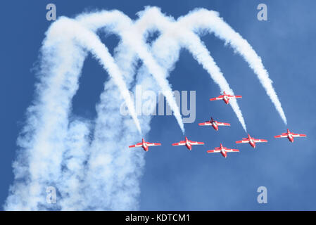 Royal Canadian Snowbirds Stockfoto