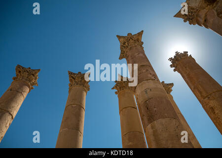 Artemis Tempel zu Korinthische Säulen mit akanthus leaf Dekoration und sunburst, römische Stadt Jerash, archäologische Stätte, Jordanien, Naher Osten Stockfoto