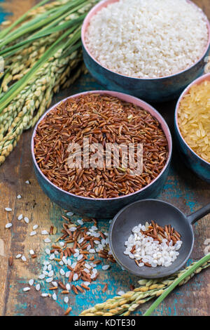 Grüne Ohren Reis aus der Camargue Provence, Frankreich Reisfelder und valiety der getrockneten Reis auf hölzernen Tisch Stockfoto