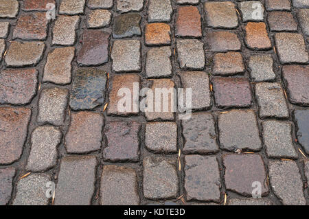 Nasse gepflasterte Straße Nahaufnahme, schwarz, grau, beige mit abgefallenen toten Blättern Stockfoto