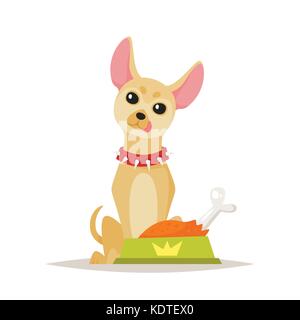 Vektor Cartoon Stil Abbildung: cute Chihuahua hund Vorbereitung auf das Essen, auf weißem Hintergrund. Stock Vektor