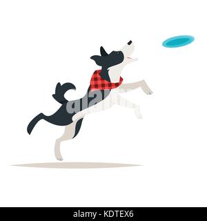 Vektor Cartoon Stil Abbildung: süße Border Collie Hund laufen für die Frisbee, auf weißem Hintergrund. Stock Vektor