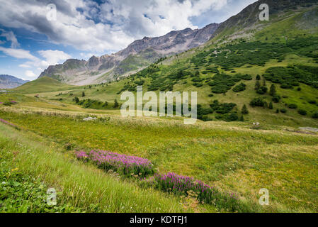 Landschaft rund um La Grave, Frankreich, Europa. Stockfoto