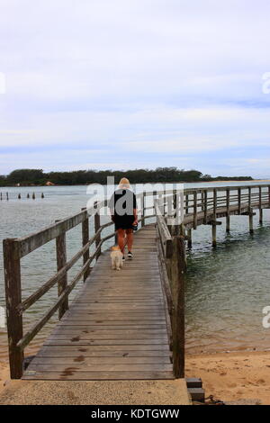 Eine Frau ihren Hund zu Fuß entlang der Küste Board Walk, die zu den Ozean in urunga, auf ihr morgen Übung. Stockfoto