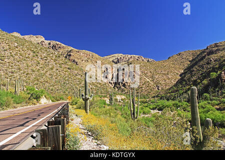 Die Mount Lemmon in Tucson Arizona Stockfoto