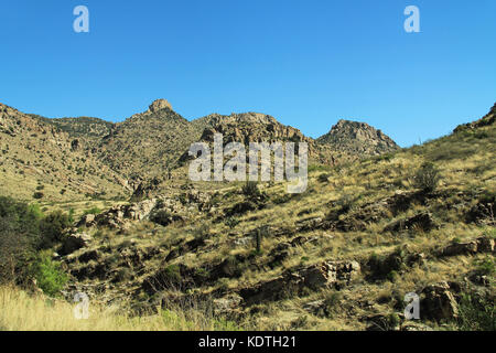 Blick auf Mount Lemmon in Tucson Arizona Stockfoto